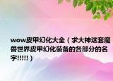 wow皮甲幻化大全（求大神这套魔兽世界皮甲幻化装备的各部分的名字!!!!!）