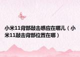 小米11背部敲击感应在哪儿（小米11敲击背部位置在哪）
