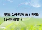 坚果r1开机界面（坚果r1开箱图赏）