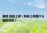服务 蚂蚁上树（蚂蚁上树是什么服务项目）