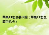 苹果11怎么装卡贴（苹果11怎么装手机卡）