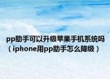 pp助手可以升级苹果手机系统吗（iphone用pp助手怎么降级）