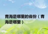 青海是哪里的省份（青海是哪里）