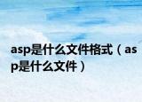 asp是什么文件格式（asp是什么文件）