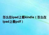 怎么在ipad上看kindle（怎么在ipad上看pdf）