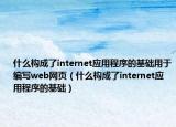 什么构成了internet应用程序的基础用于编写web网页（什么构成了internet应用程序的基础）