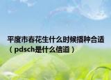 平度市春花生什么时候播种合适（pdsch是什么信道）