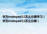 华为matepad11怎么分屏学习（华为matepad11怎么分屏）