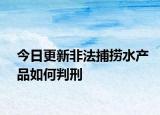 今日更新非法捕捞水产品如何判刑