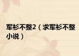 军衫不整2（求军衫不整小说）