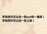 多张照片怎么在一张ppt逐一呈现（多张照片怎么在一张上面）