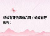 蚂蚁有牙齿吗有几颗（蚂蚁有牙齿吗）