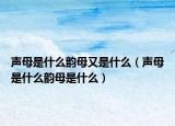 声母是什么韵母又是什么（声母是什么韵母是什么）