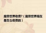 魔兽世界收费?（魔兽世界现在是怎么收费的）