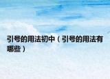 引号的用法初中（引号的用法有哪些）
