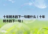 十年树木的下一句是什么（十年树木的下一句）