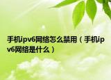 手机ipv6网络怎么禁用（手机ipv6网络是什么）