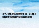 dnf70版本佩鲁斯哪里出（85版本DNF中佩鲁斯的荣耀在哪里爆）