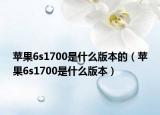 苹果6s1700是什么版本的（苹果6s1700是什么版本）