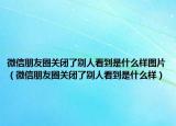 微信朋友圈关闭了别人看到是什么样图片（微信朋友圈关闭了别人看到是什么样）