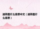 迪拜是什么意思中文（迪拜是什么意思）