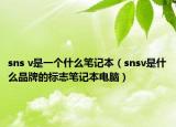 sns v是一个什么笔记本（snsv是什么品牌的标志笔记本电脑）