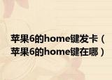 苹果6的home键发卡（苹果6的home键在哪）