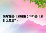 属蛇的是什么属性（SSD是什么什么意思?）