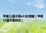 苹果11是不是a13处理器（苹果11是不是快充）