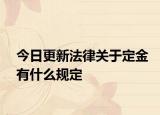 今日更新法律关于定金有什么规定