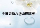 今日更新九华山在哪里