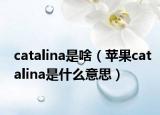 catalina是啥（苹果catalina是什么意思）