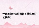 什么是办公软件剪辑（什么是办公软件）