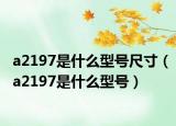 a2197是什么型号尺寸（a2197是什么型号）