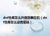 dnf仓库怎么升级到泰拉石（dnf仓库怎么设置密码）