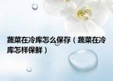 蔬菜在冷库怎么保存（蔬菜在冷库怎样保鲜）