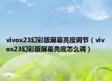 vivox23幻彩版屏幕亮度调节（vivox23幻彩版屏幕亮度怎么调）