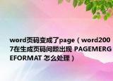 word页码变成了page（word2007在生成页码问题出现 PAGEMERGEFORMAT 怎么处理）