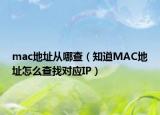 mac地址从哪查（知道MAC地址怎么查找对应IP）