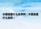 水墨画是什么意思啊（水墨画是什么意思）