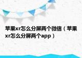苹果xr怎么分屏两个微信（苹果xr怎么分屏两个app）