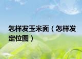 怎样发玉米面（怎样发定位图）