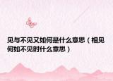 见与不见又如何是什么意思（相见何如不见时什么意思）