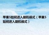 苹果5如何进入刷机模式（苹果5如何进入刷机模式）