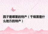 圆子是哪里的特产（千禧蛋是什么地方的特产）