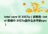 intel core i5 3317u（求教育~intel 酷睿i5 3317u是什么水平的cpu）