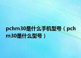 pchm30是什么手机型号（pchm30是什么型号）
