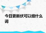 今日更新伏可以组什么词