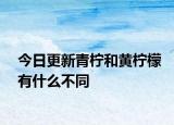 今日更新青柠和黄柠檬有什么不同