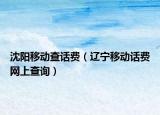 沈阳移动查话费（辽宁移动话费网上查询）